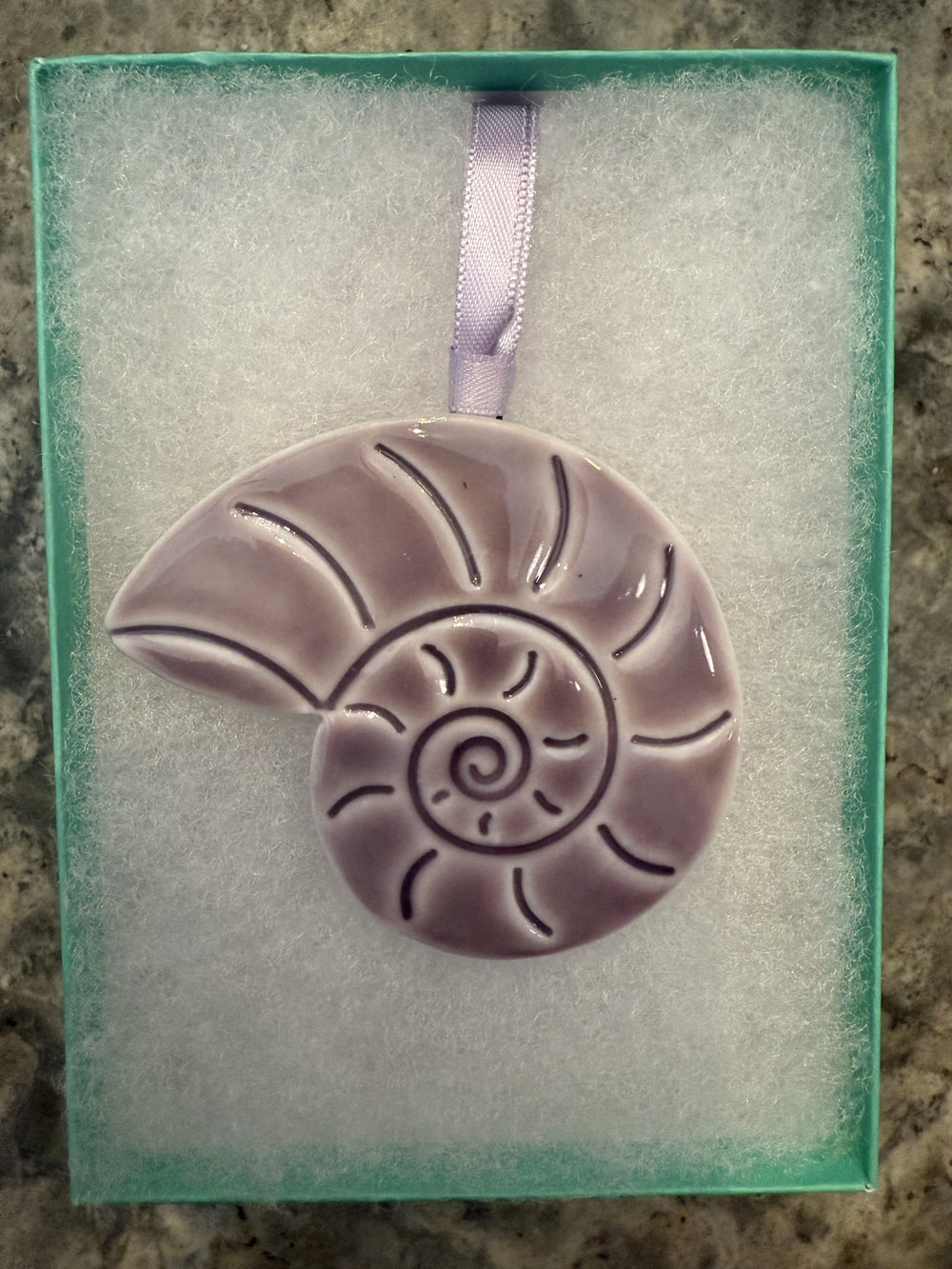 Purple Nautilus