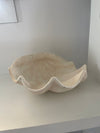 Clam Shell