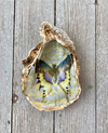 Decoupage Shells