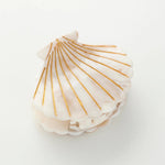 Calacatta Seashell Hand Painted Seashell Claw Clip