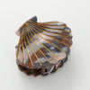 Calacatta Seashell Hand Painted Seashell Claw Clip