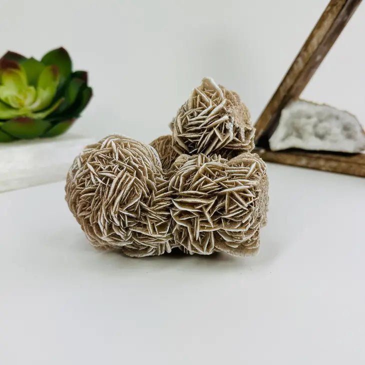 Gypsum Desert Rose Cluster