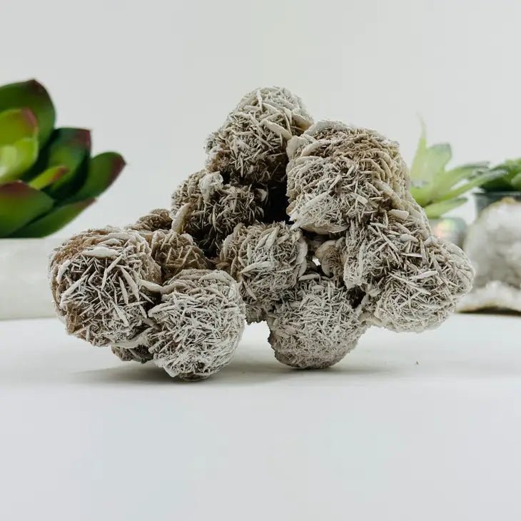 Gypsum Desert Rose Freeform