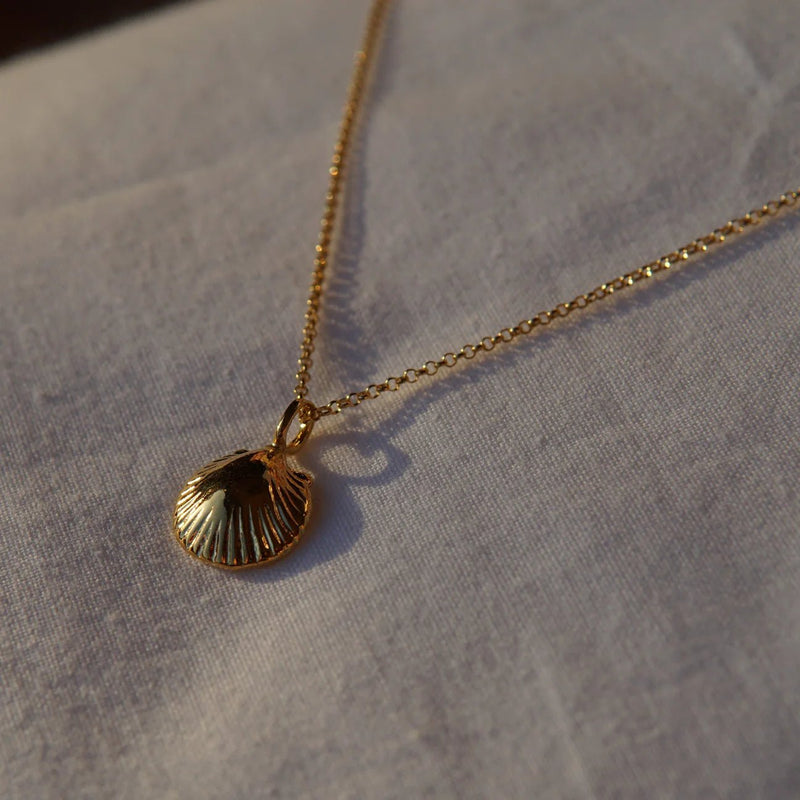 Scallop Shell Pendant